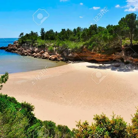 Buena Vista Сasa de vacaciones