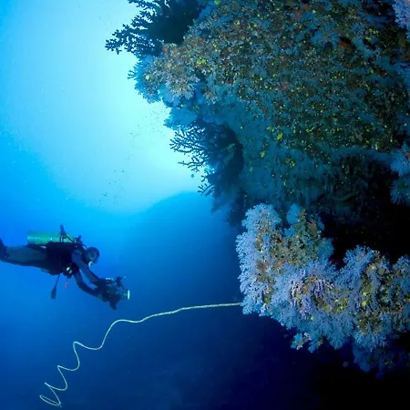 Buena Vista L'Ametlla de Mar
